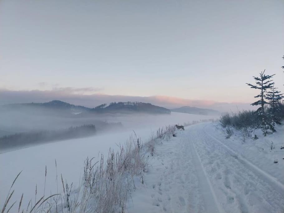Haus Julia Direkt Am Hennesee Mitten Im Sauerland Meschede Eksteriør billede