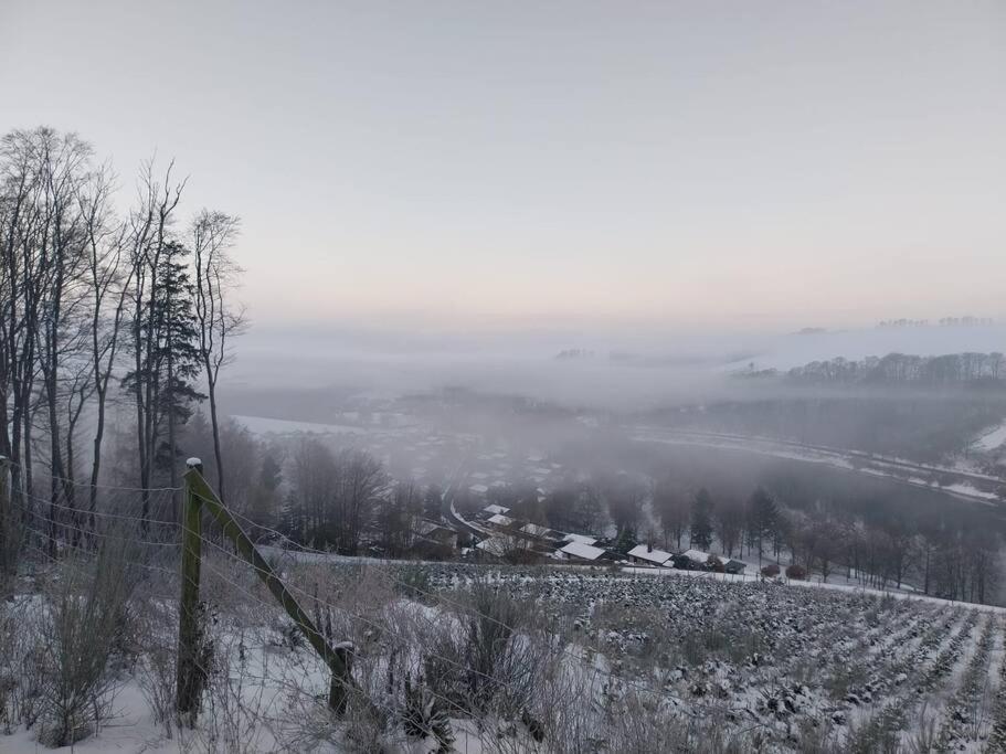 Haus Julia Direkt Am Hennesee Mitten Im Sauerland Meschede Eksteriør billede